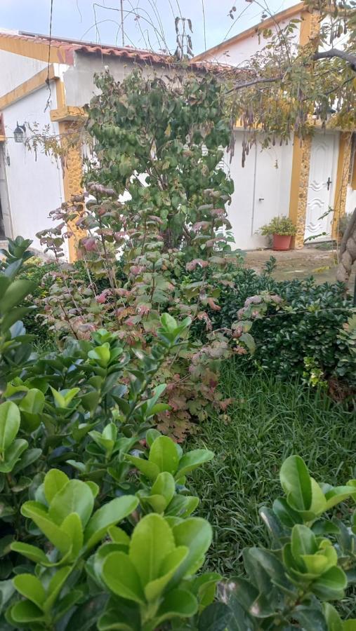 Casa Dos Gansos Villa Perais Kültér fotó